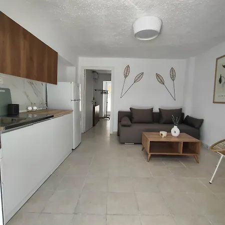 Apartment Zenith #3