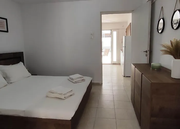 Zenith #3 * 佩科霍里